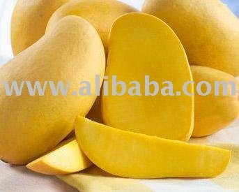 Fresh Mangos