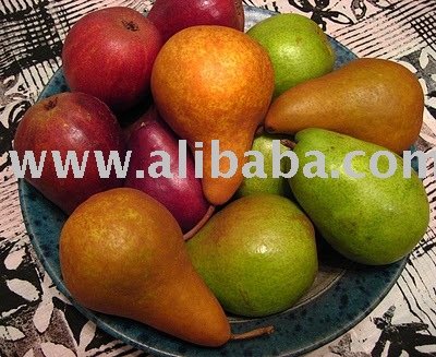 Fresh Pear