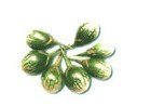 Aubergine