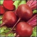 fresh vegetables: BEET ROOT