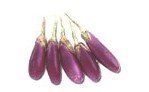 Aubergine purple