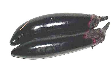FRESH EGGPLANT
