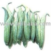  fresh  snake  gourd  vegetables
