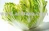 Mustard leaf