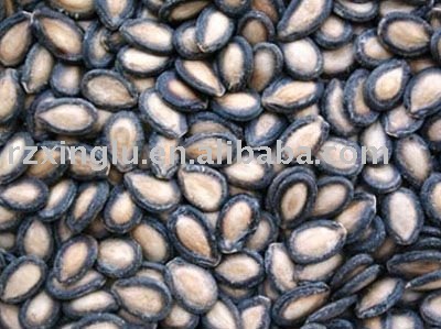 2010 New crop black watermelon seeds