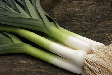 green onion