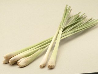 Lemon grass