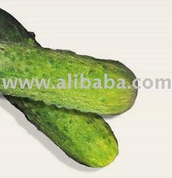 Gherkins
