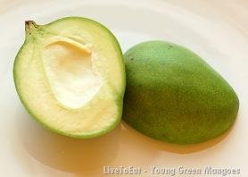  FRESH   GREEN   MANGO 
