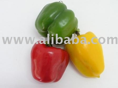 Bell Pepper - green, red yellow