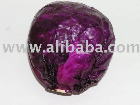 Cabbage red