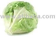 Lettuce