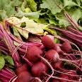 Beet vegetables for sale