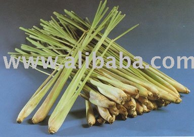 lemon grass