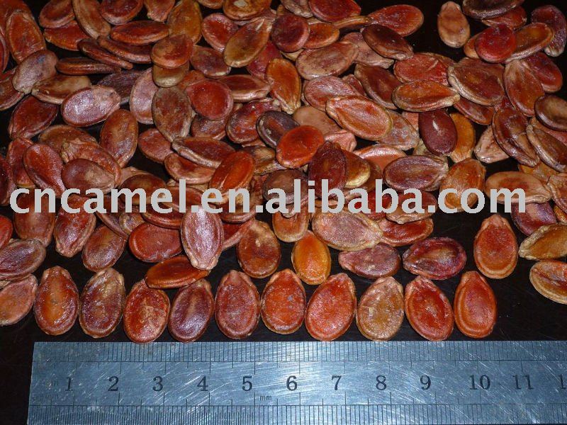 red pumpkin seed