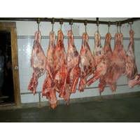 Frozen Halaal  Sheep  and  goat   Meat 