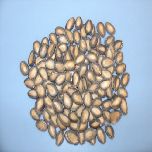 black melon seeds from china
