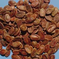 red watermelonseeds