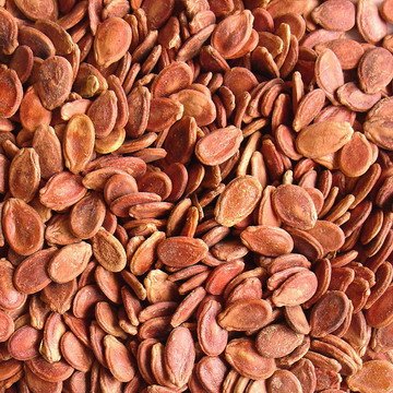 red watermelon seeds from china