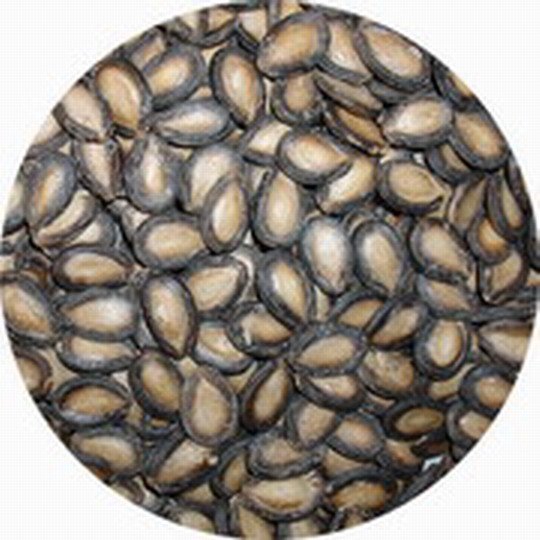 chinese black watermelon seeds