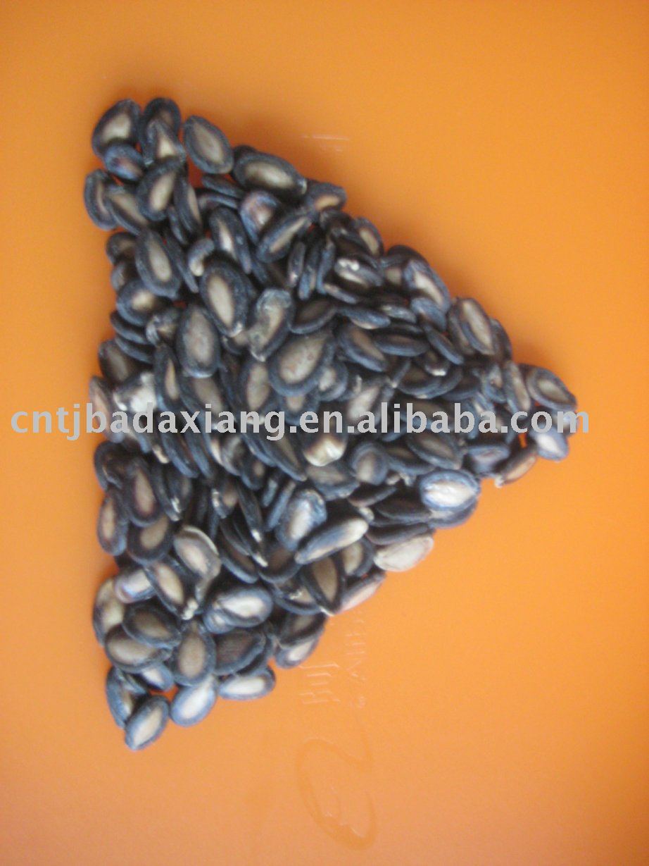 new crop of watermelon seed