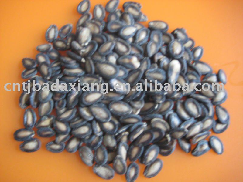 new crop of 2010 black watermelon seed