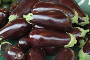Eggplant