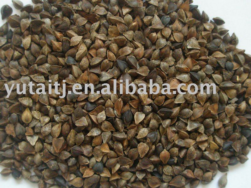 Buck wheat