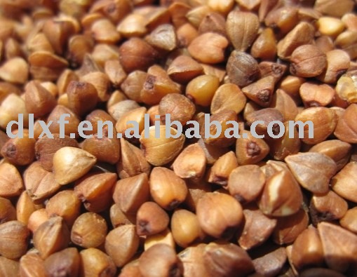 roasted buckwheat