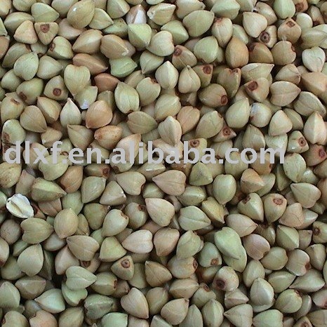 raw buckwheat kernel