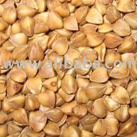 buckwheat