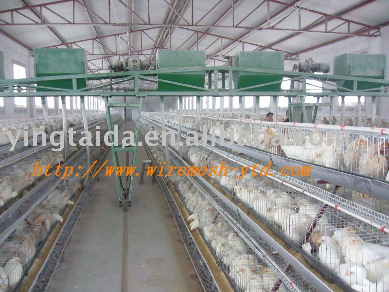 animal poultry cage