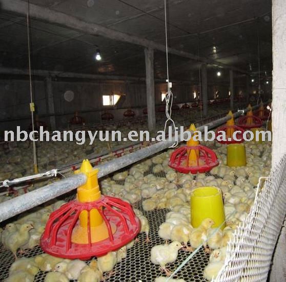  Poultry   feeder 