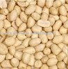 Chinese new crop blanched peanut kernels