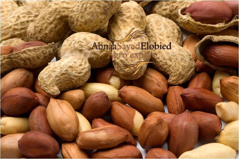 Groundnut (Peanuts) Sudan