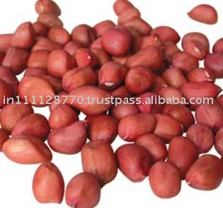 Blanched Peanuts