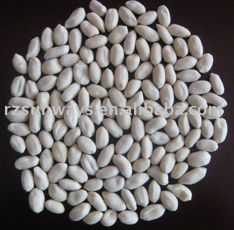 Blanched peanut kernels(long shape)