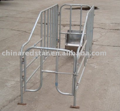 gestation stall
