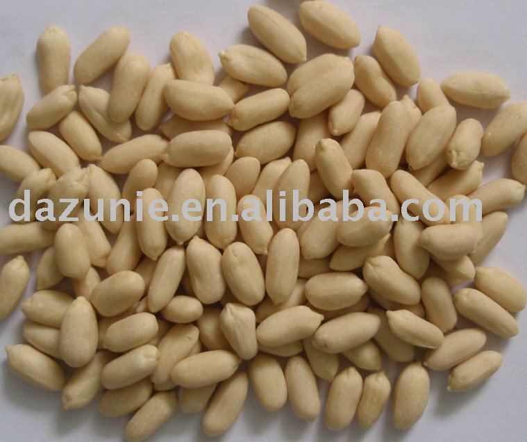 Blanched Peanut Kernels
