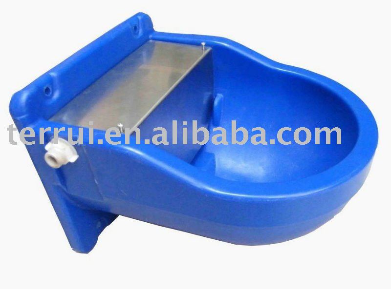 Cow drinking bowl