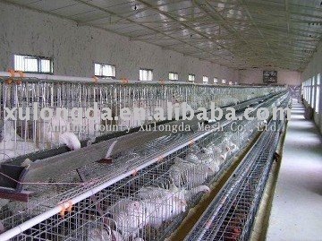  chicken  cage