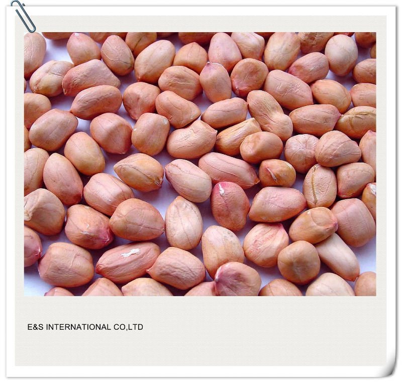 Ground nuts / Peanuts