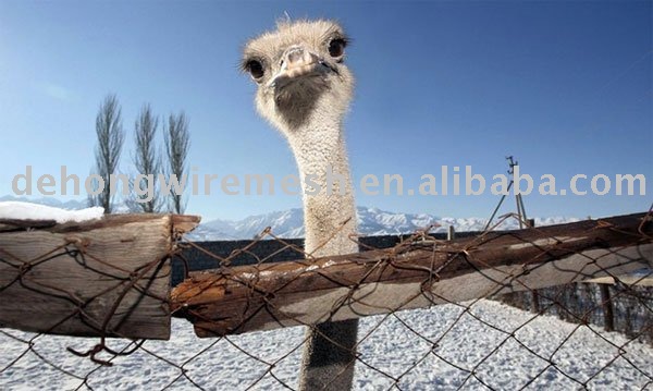 filed fence