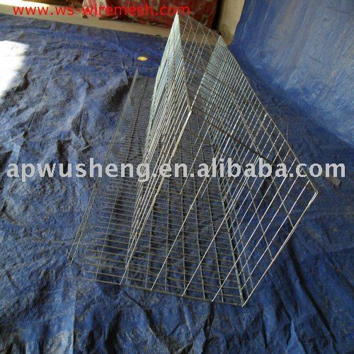 chicken  laying  cage