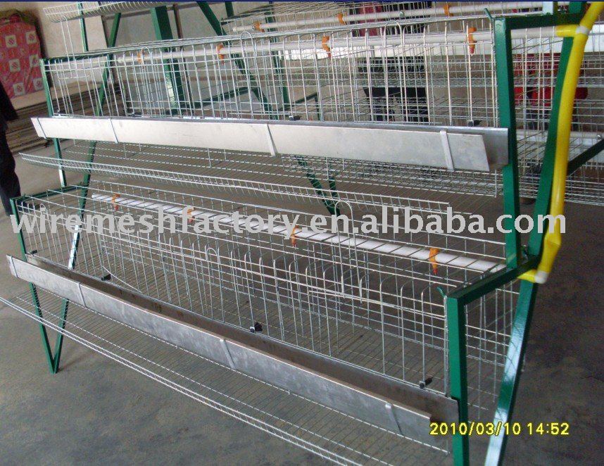 Chicken  Cage (chicken layer  cage , poultry   cage )