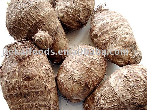 Fresh chinese taro 2010