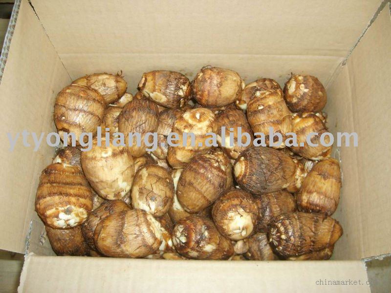 fresh taro