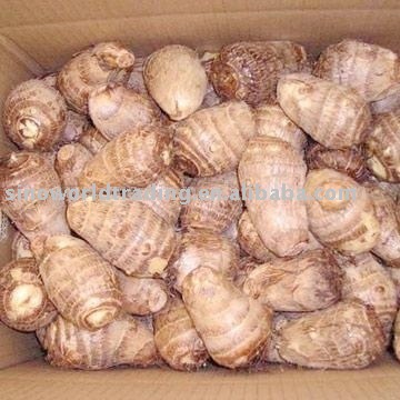Fresh Taro