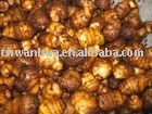 2010 new fresh taro