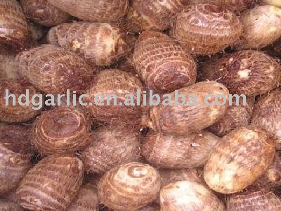 fresh taro